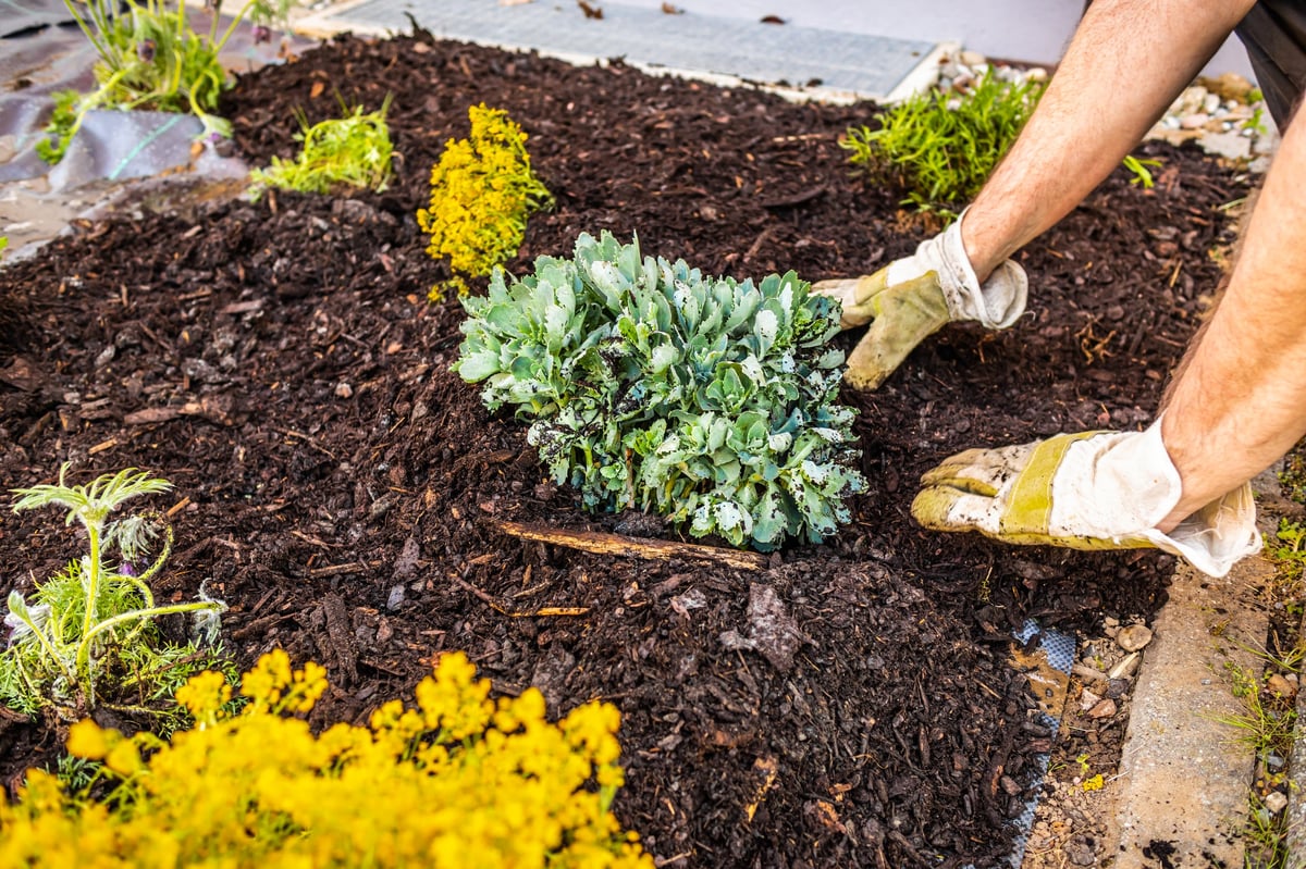 Installing weed control fabric and bark mulch in a residential garden