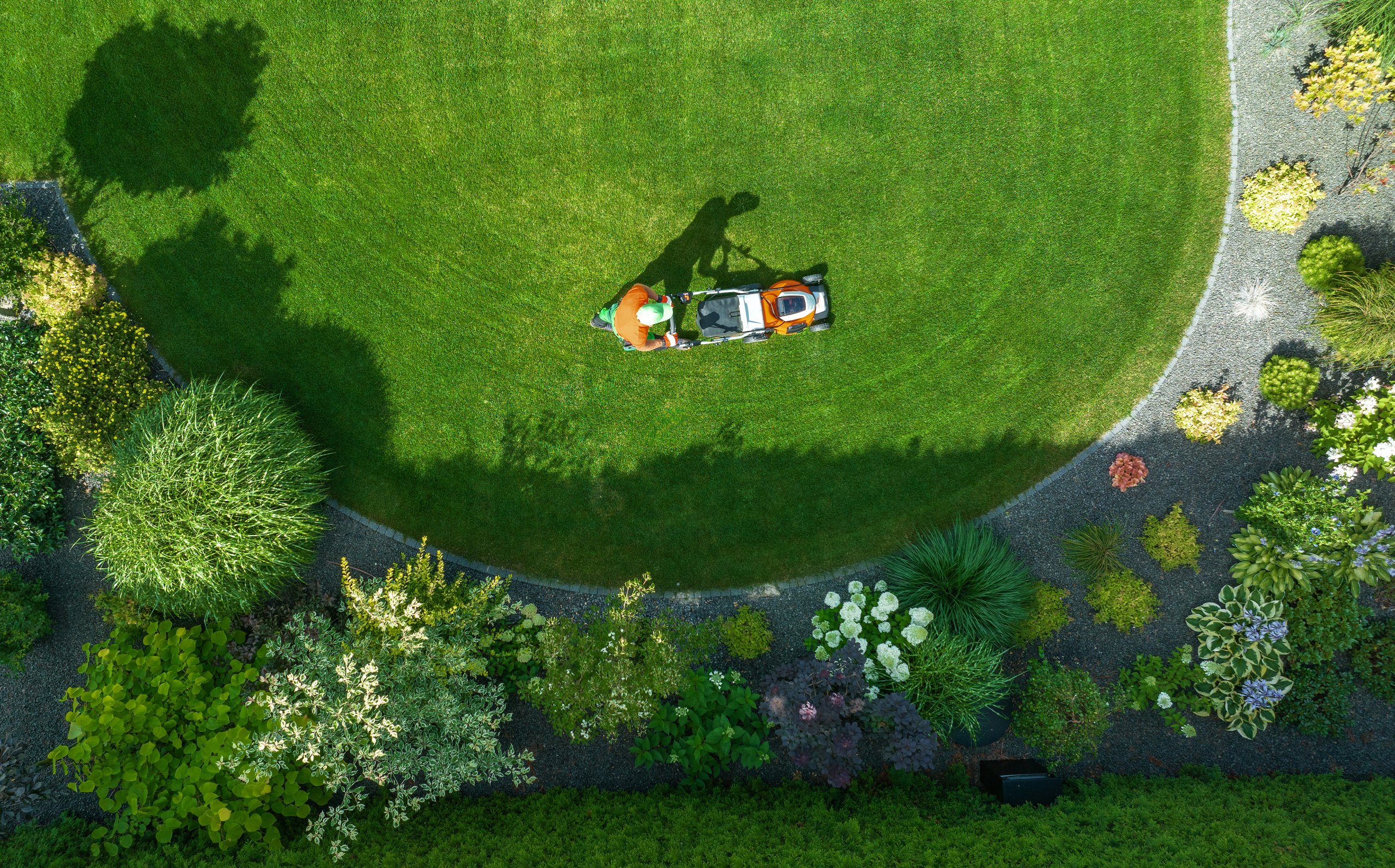 Professional maintained lawn with landscaping