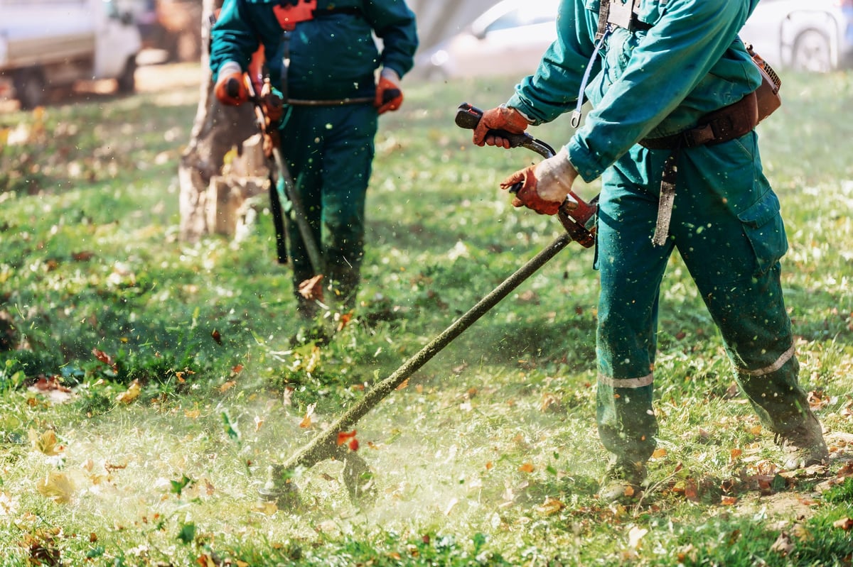 Two workers using trimmers to cut grass in a vibrant park