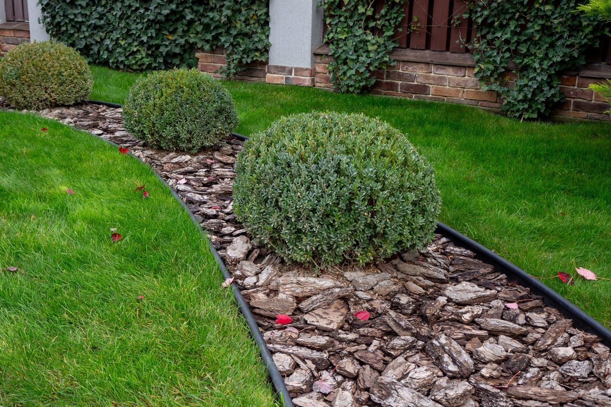 Decorative garden border with trimmed bushes, bark mulch, and green lawn in modern residential yard